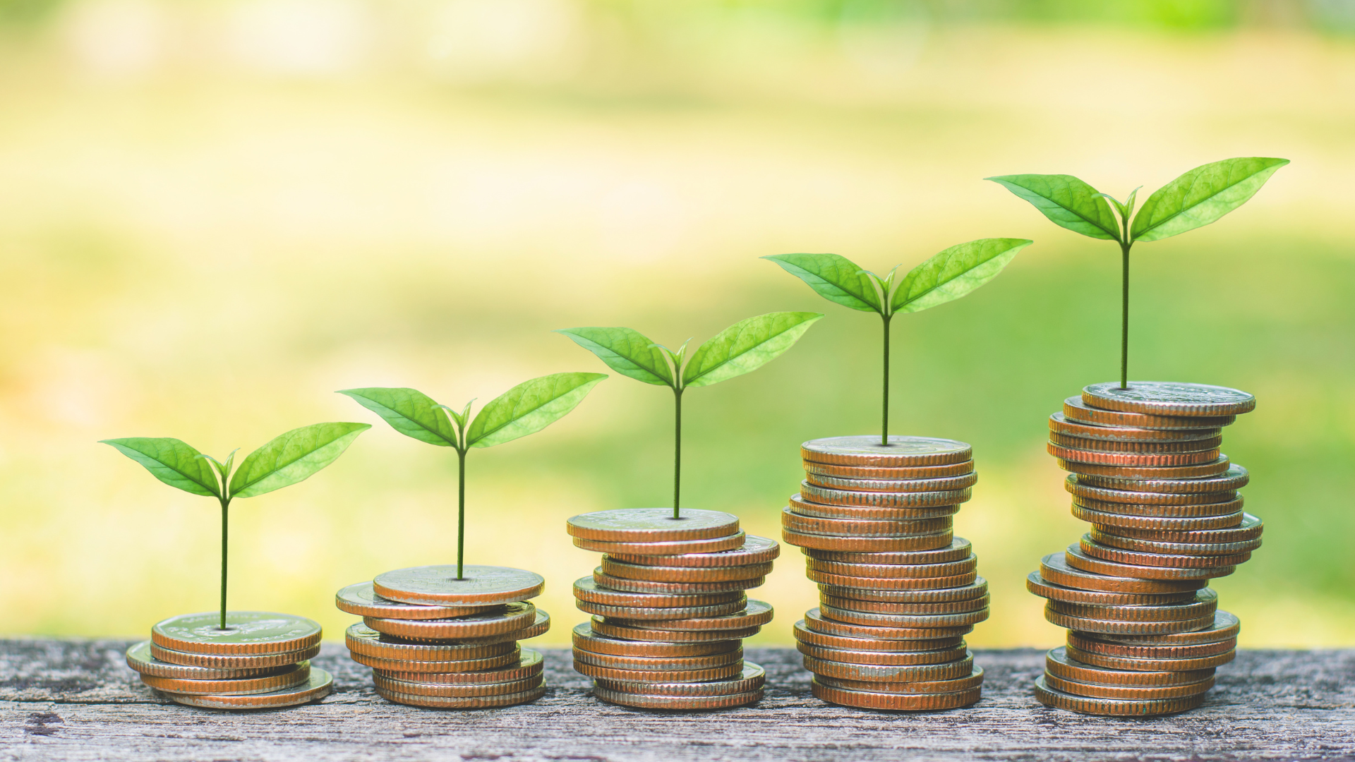 Coins stacks with plants a the top representing good budgeting