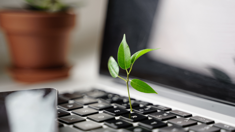 laptop keyboard with plant growing on it. Green IT computer concept. Carbon efficient technology. Digital sustainability. High quality photo